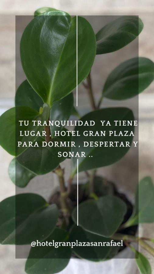 Hotel Gran Plaza San Rafael San Rafael  Exteriér fotografie